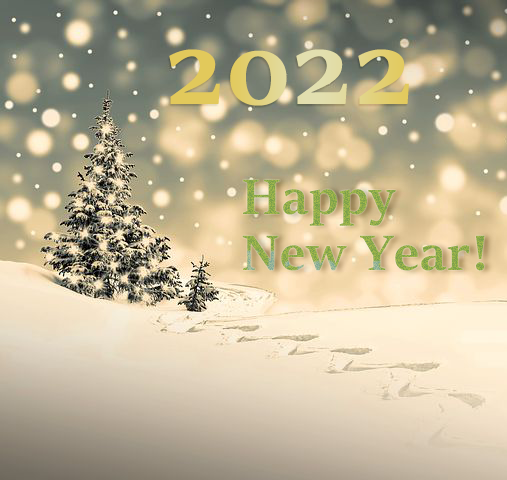 Merry Christmas and Happy New Year!